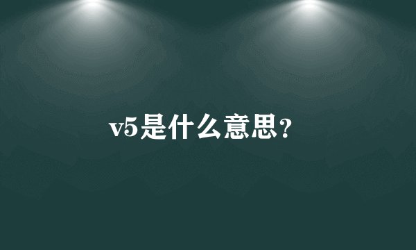 v5是什么意思?