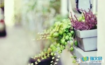 矩形练习题
