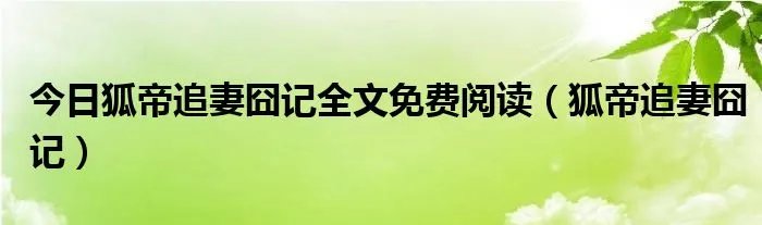 今日狐帝追妻囧记全文免费阅读（狐帝追妻囧记）