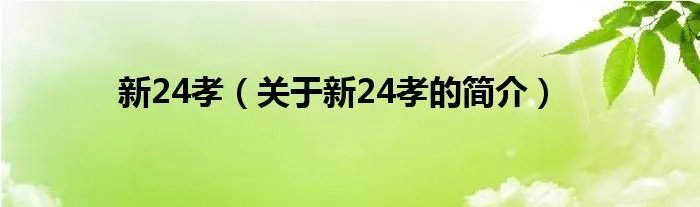 新24孝（关于新24孝的简介）