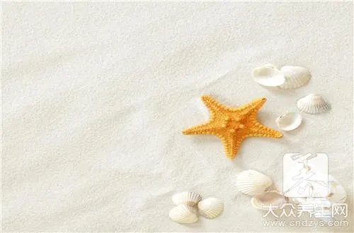 海星的功效有哪些