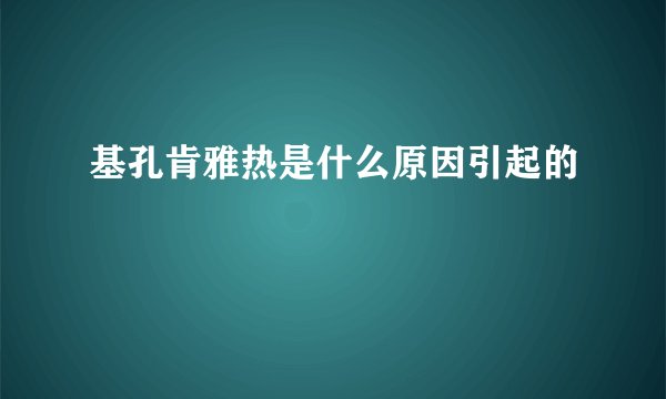 基孔肯雅热是什么原因引起的