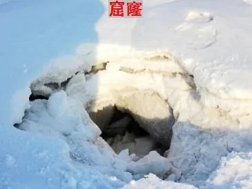 窿字组词
