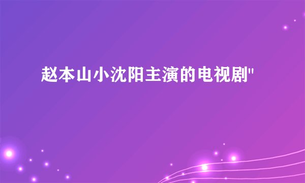 赵本山小沈阳主演的电视剧