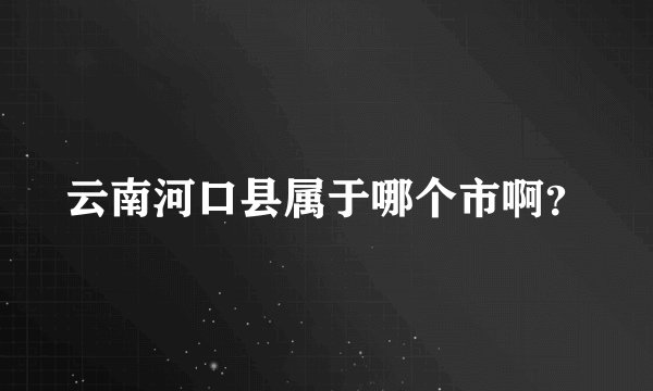 云南河口县属于哪个市啊?