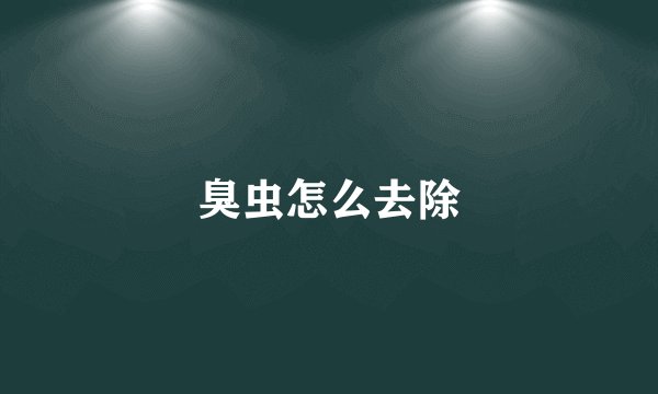 臭虫怎么去除