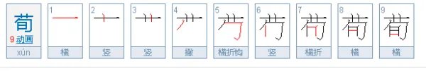 荀怎么读?