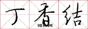 丁香结