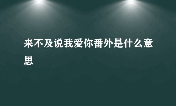 来不及说我爱你番外是什么意思
