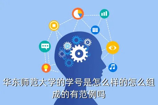 华东师范大学学工部,华东师范大学学工部网站怎么登