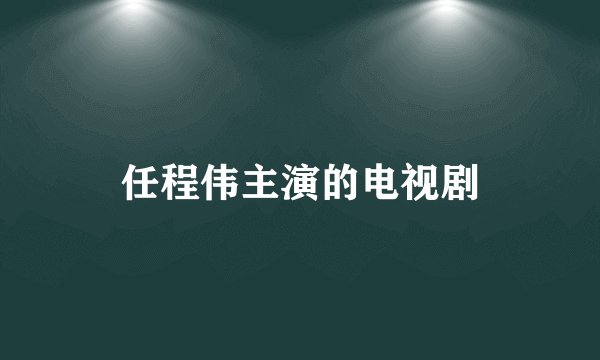 任程伟主演的电视剧