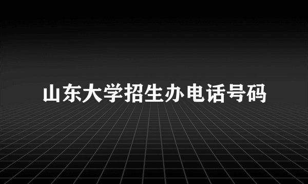 山东大学招生办电话号码