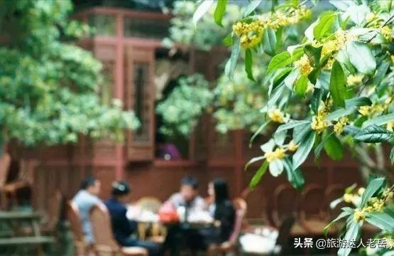 柳江古镇住宿哪家比较好?