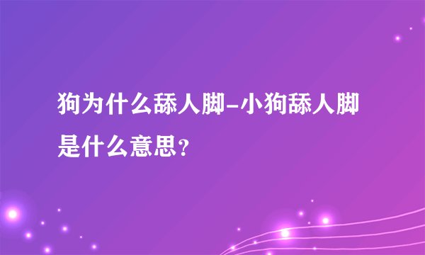 狗为什么舔人脚-小狗舔人脚是什么意思?