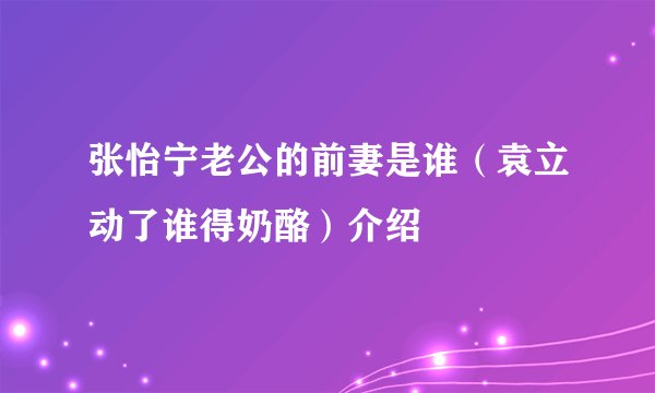 张怡宁老公的前妻是谁（袁立动了谁得奶酪）介绍