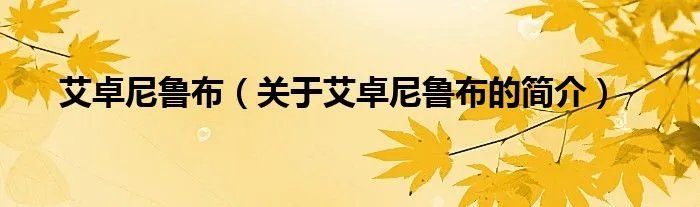 艾卓尼鲁布（关于艾卓尼鲁布的简介）