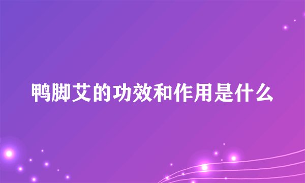 鸭脚艾的功效和作用是什么