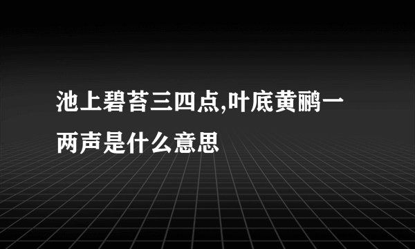 池上碧苔三四点,叶底黄鹂一两声是什么意思