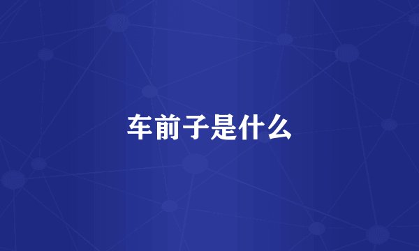 车前子是什么