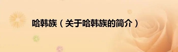 哈韩族（关于哈韩族的简介）