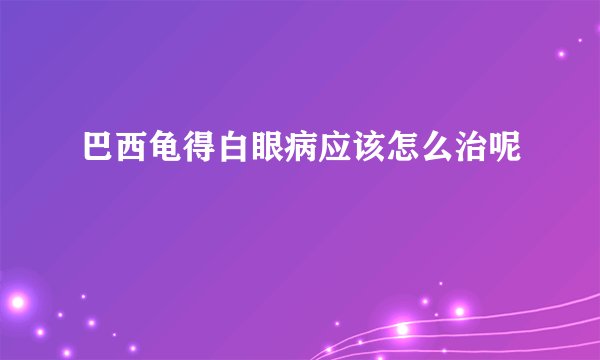 巴西龟得白眼病应该怎么治呢