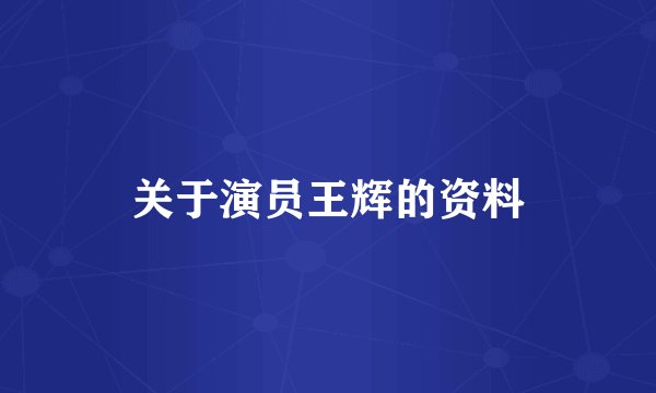 关于演员王辉的资料