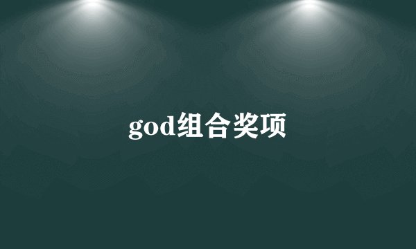 god组合奖项