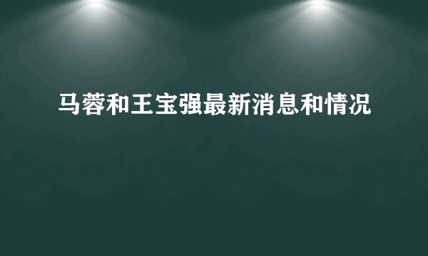 马蓉和王宝强最新消息和情况