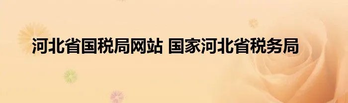 河北省国税局网站 国家河北省税务局