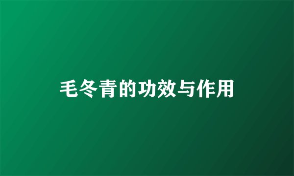 毛冬青的功效与作用
