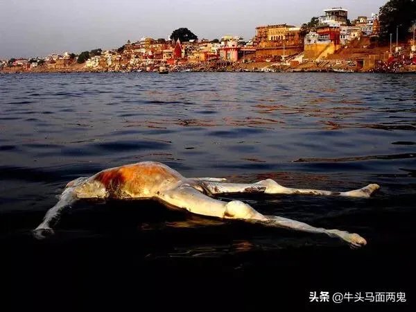 印度恒河污染那么严重,为什么不全面治理?