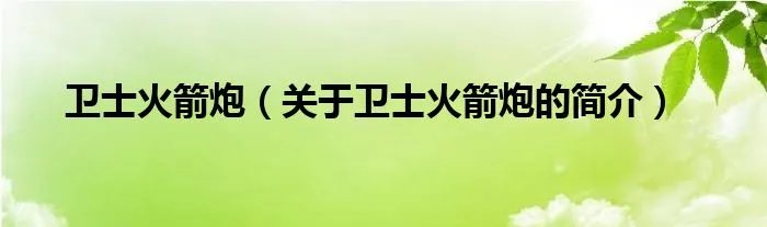 卫士火箭炮（关于卫士火箭炮的简介）