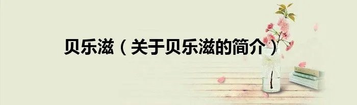 贝乐滋（关于贝乐滋的简介）