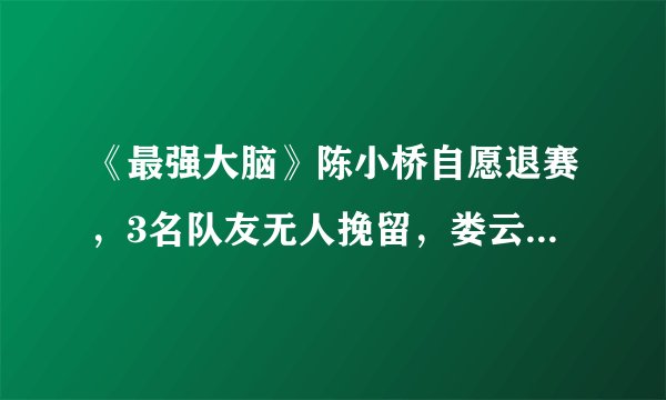 《最强大脑》陈小桥自愿退赛,3名队友无人挽留,娄云皓队更强了