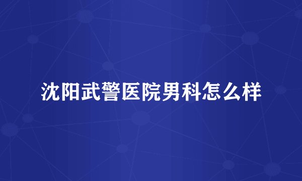 沈阳武警医院男科怎么样