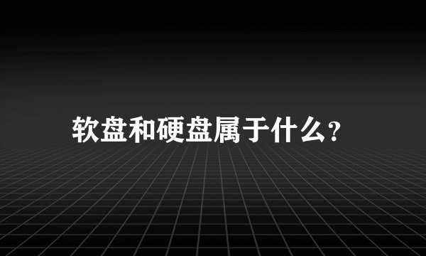 软盘和硬盘属于什么？