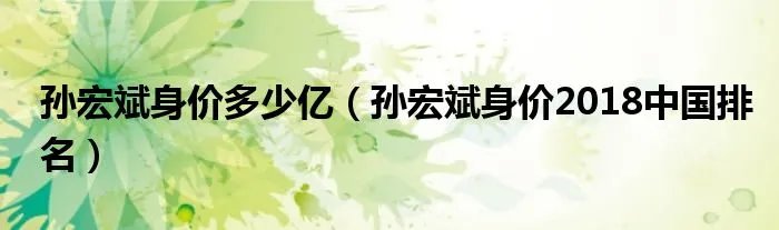 孙宏斌身价多少亿（孙宏斌身价2018中国排名）