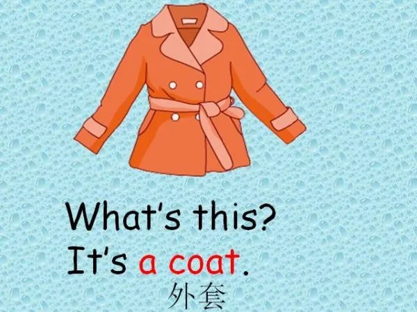 coat的中文是什么意思