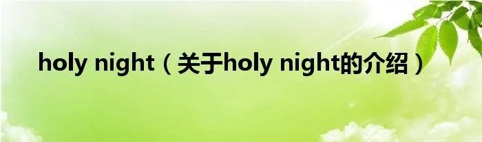holy night(关于holy night的介绍)