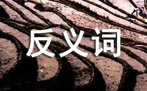 洁白的反义词是什么