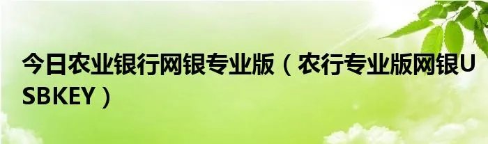 今日农业银行网银专业版（农行专业版网银USBKEY）