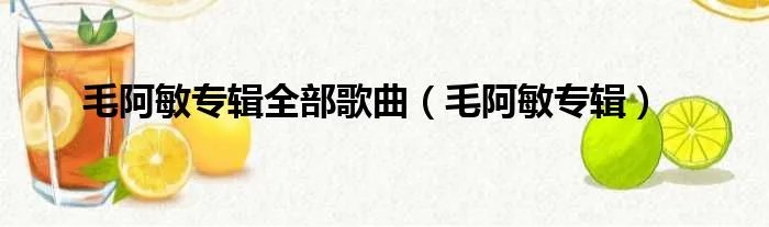 毛阿敏专辑全部歌曲(毛阿敏专辑)