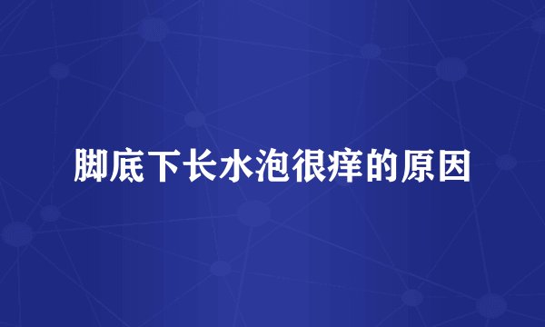 脚底下长水泡很痒的原因