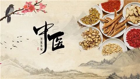 补肾什么药好