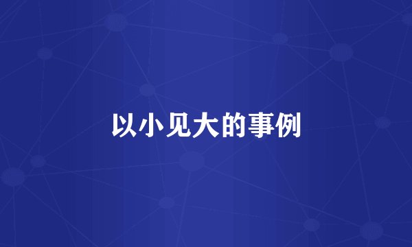 以小见大的事例