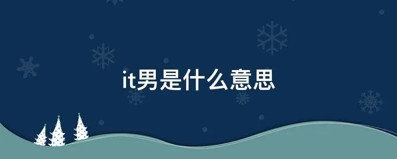 it男是什么意思