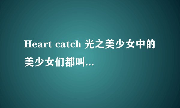 Heart catch 光之美少女中的美少女们都叫什么名字?