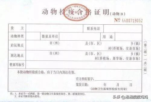 猪肉检疫章的区别?