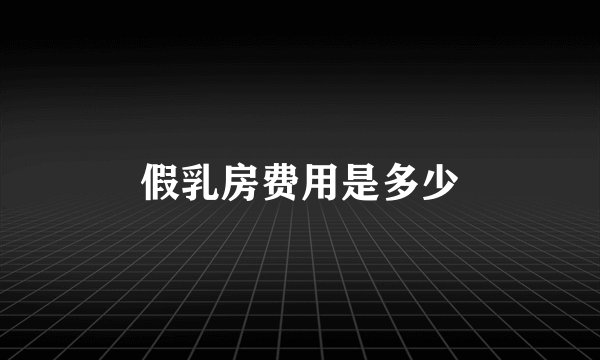 假乳房费用是多少