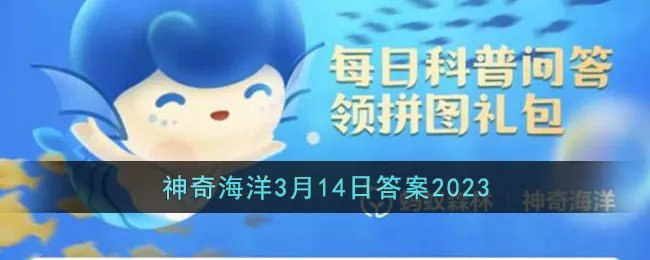 考考你哪一种海鸟俗称呆鸥
